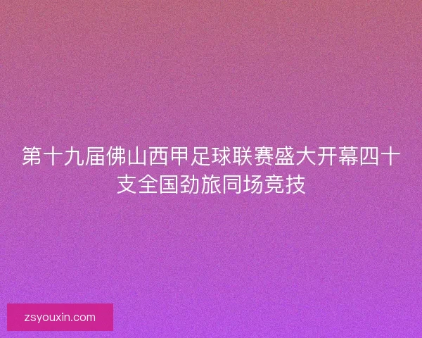 第十九届佛山西甲足球联赛盛大开幕四十支全国劲旅同场竞技